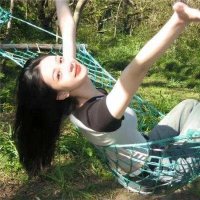 托梅斯的导盲犬