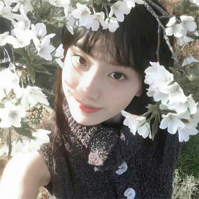 鬼蕉树