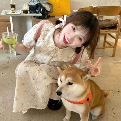 青云志2